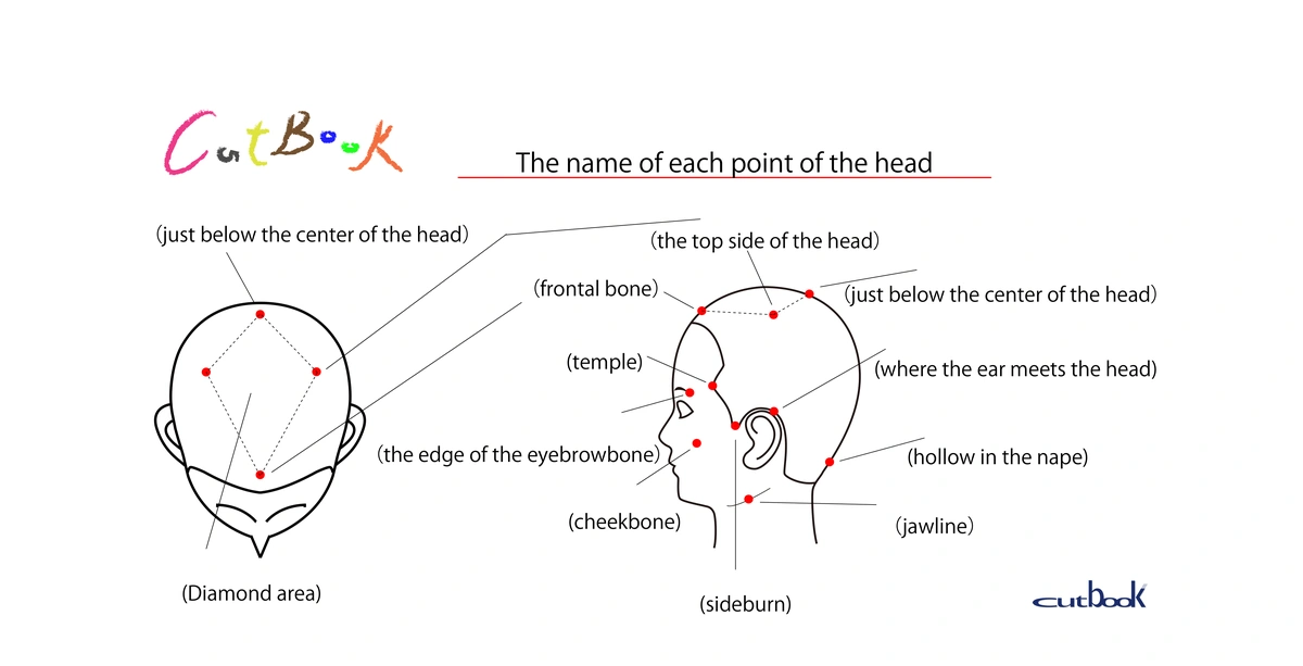 Head point reference
